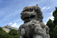 IMG_20250704_104127