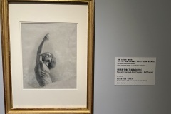 IMG_20250704_110937