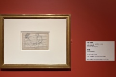 IMG_20250704_120424
