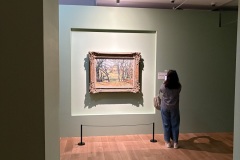 IMG_20250704_120528