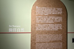 IMG_20250704_120534
