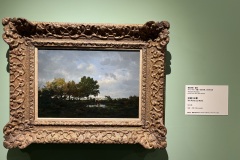 IMG_20250704_121012