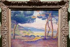 IMG_20250704_121836
