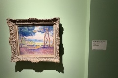 IMG_20250704_121851