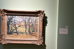 IMG_20250704_122133