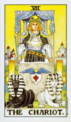 07