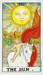 19